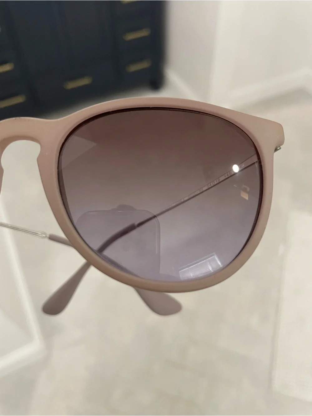 Ray Ban Erika Sunglasses